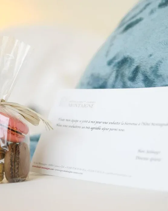 Hôtel Montaigne Cannes, photo 38