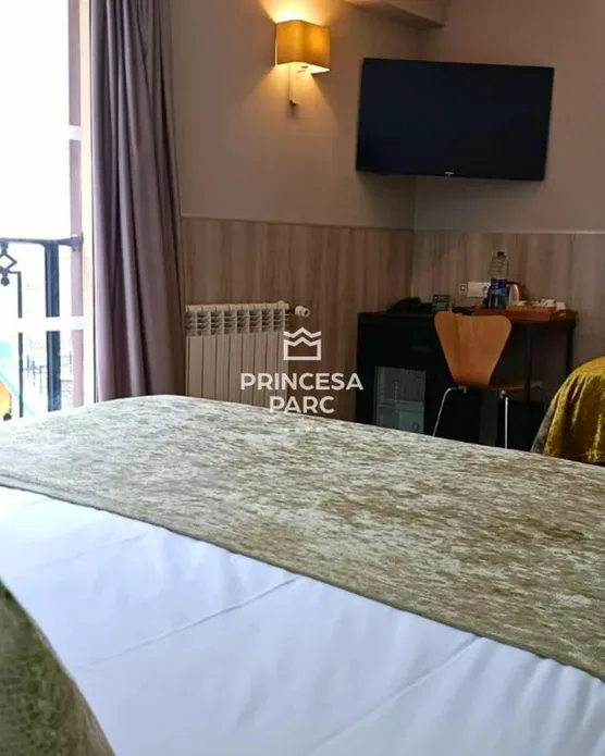 Hotel Princesa Parc, photo 20