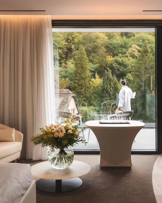 Hôtel spa 6717, photo 14