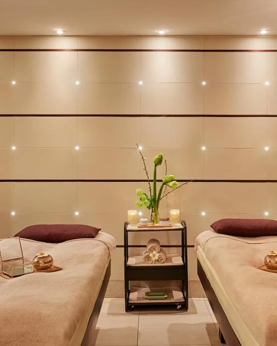 Hôtel spa Burgundy, photo 41
