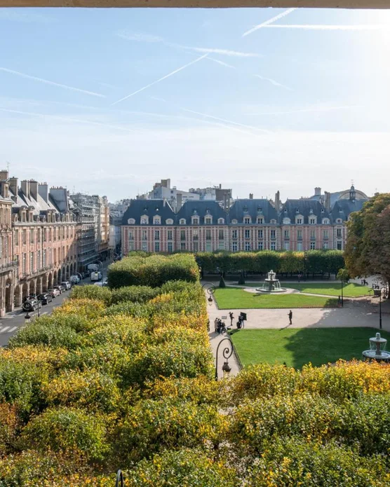 Hôtel spa cour des vosges, photo 20