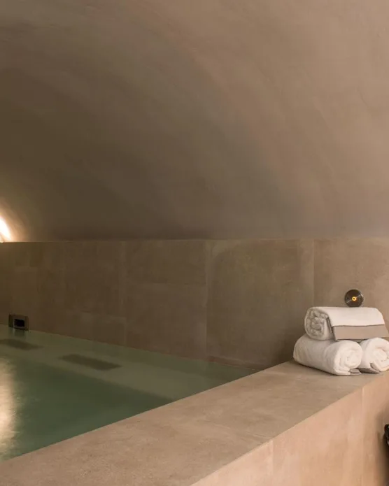 Hôtel spa cour des vosges, photo 22