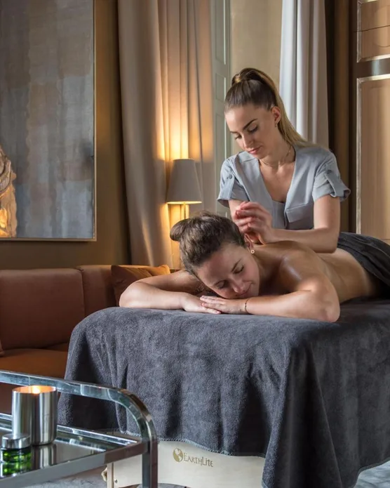 Hôtel spa cour des vosges, photo 24
