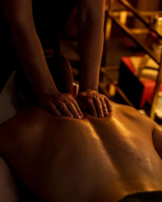 Hôtel spa cour des vosges, photo 25