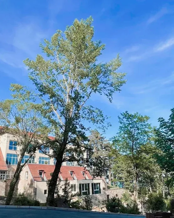 Hôtel spa Husseren, photo 18