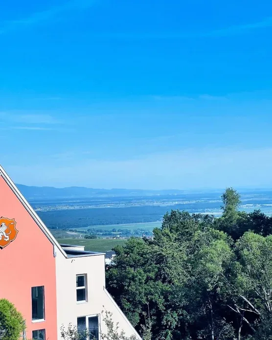 Hôtel spa Husseren, photo 20