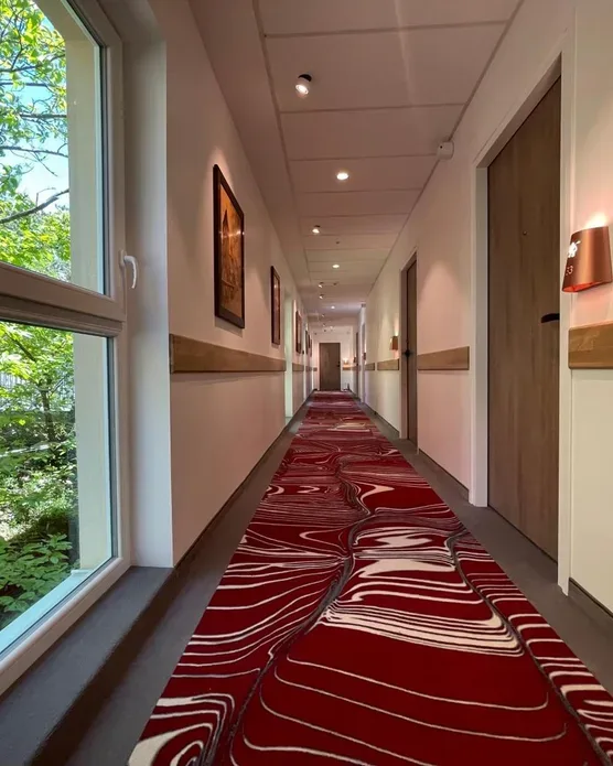 Hôtel spa Husseren, photo 43