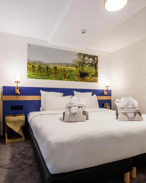 Hôtel spa Husseren, photo 44