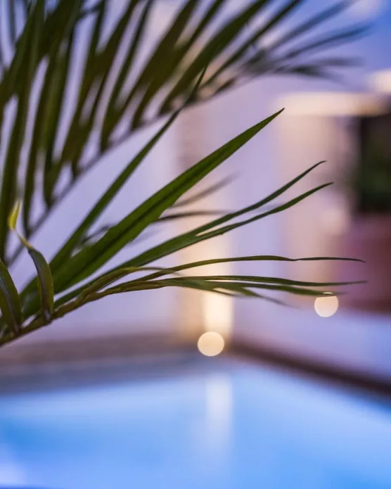 Hôtel Spa Laz’, photo 32