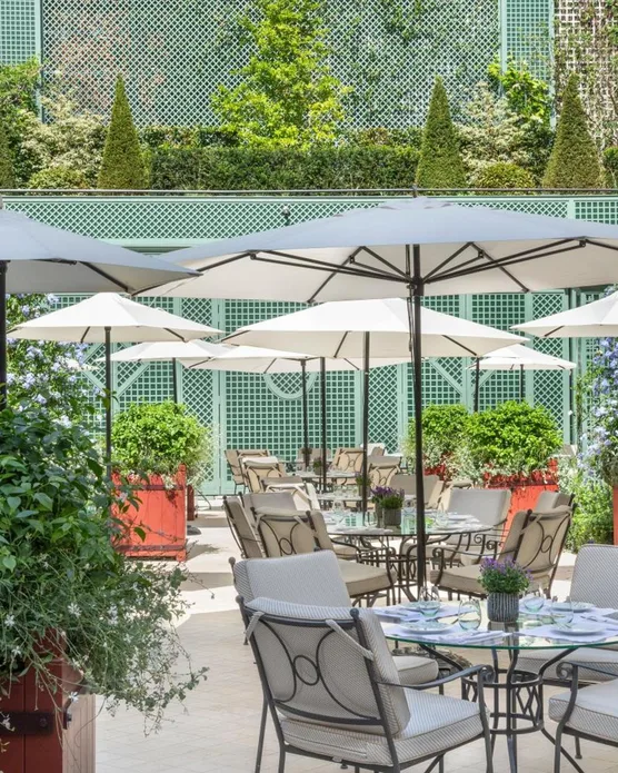 Hôtel spa Le Bristol, photo 16