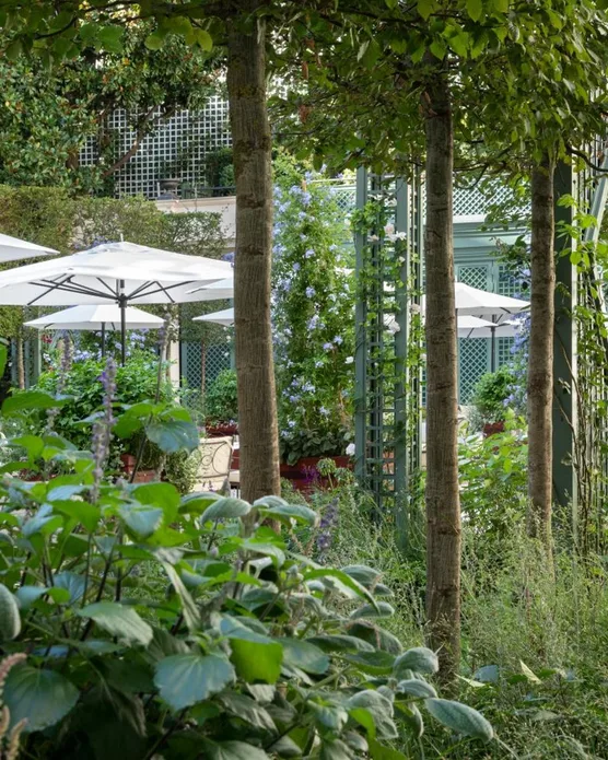 Hôtel spa Le Bristol, photo 17