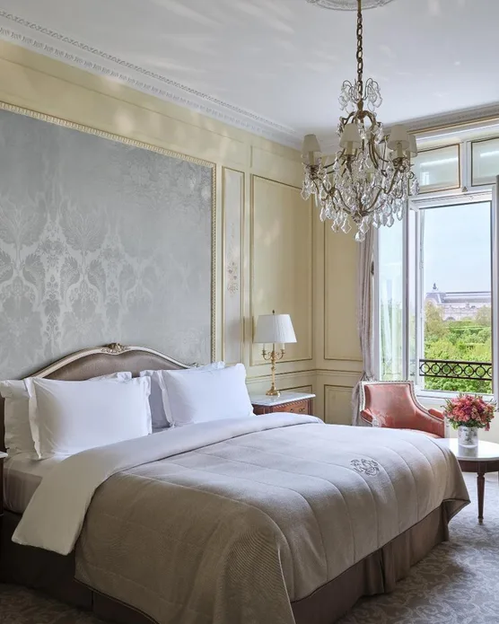Hôtel spa Le Meurice, photo 11