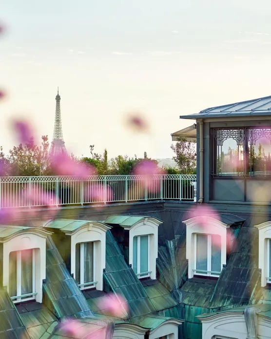 Hôtel spa Le Meurice, photo 23