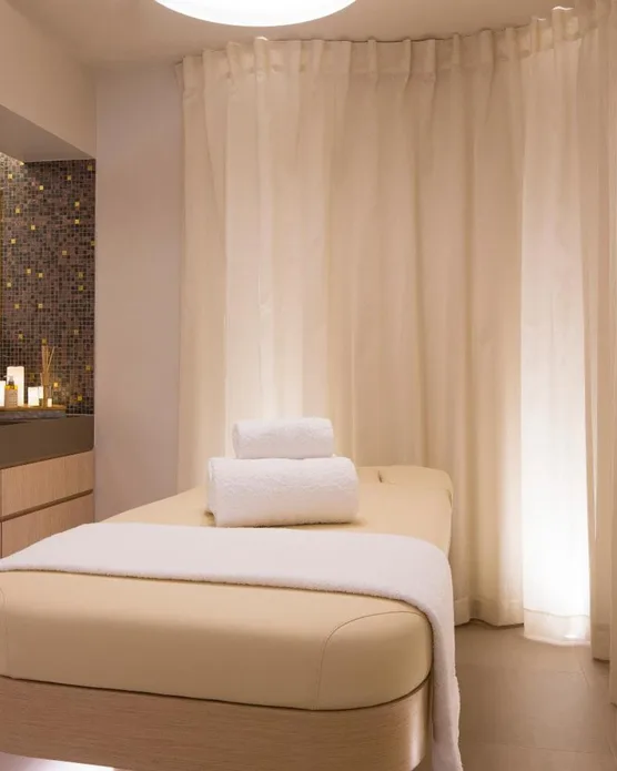 Hôtel spa Le Tsuba, photo 12