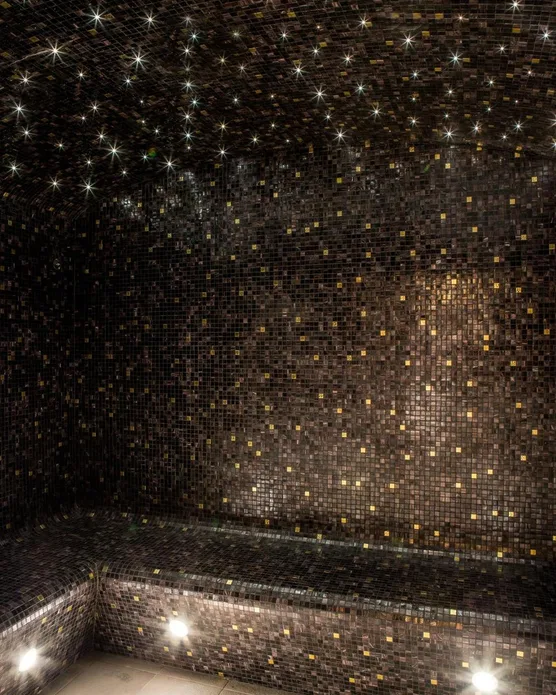 Hôtel spa Le Tsuba, photo 16