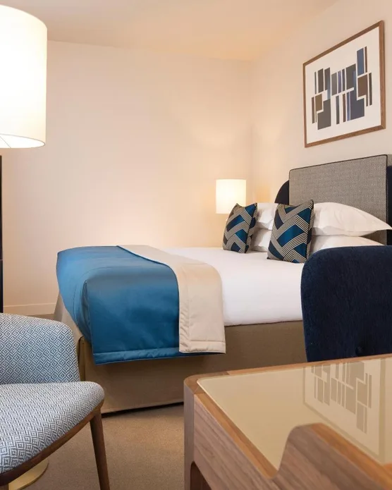 Hôtel spa Le Tsuba, photo 21