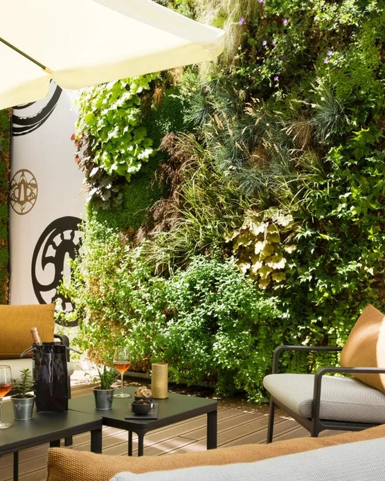 Hôtel spa Le Tsuba, photo 6