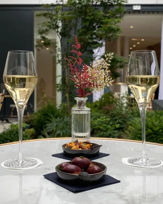 Hôtel spa Le Vendome, photo 11