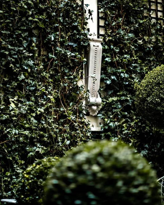 Hôtel spa Monsieur George, photo 32