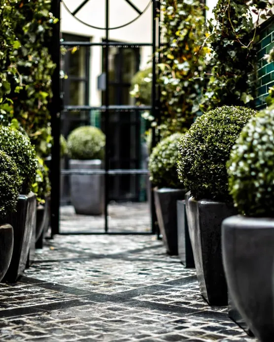Hôtel spa Monsieur George, photo 34