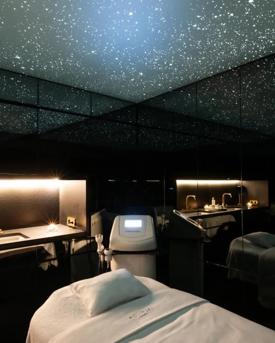 Hôtel spa Nolinski Paris, photo 42