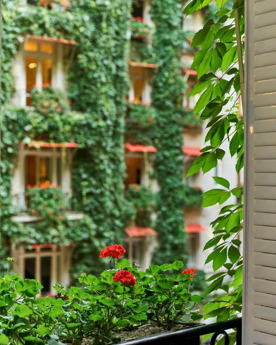 Hôtel spa Plaza Athenée, photo 18