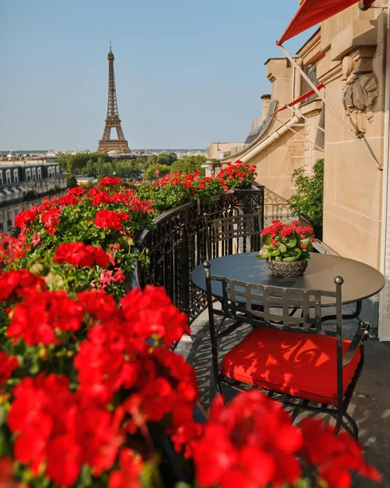 Hôtel spa Plaza Athenée, photo 19