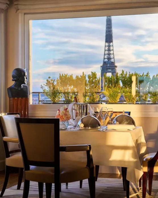 Hôtel spa Plaza Athenée, photo 27