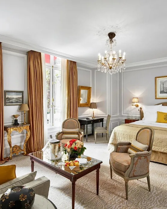 Hôtel spa Plaza Athenée, photo 3