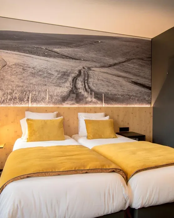 Hôtel spa Ribeauvillé, photo 16