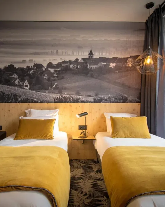 Hôtel spa Ribeauvillé, photo 44