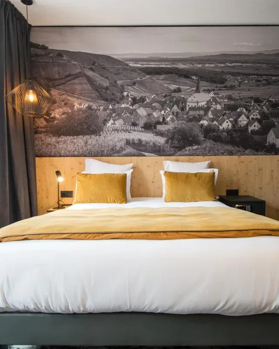 Hôtel spa Ribeauvillé, photo 6
