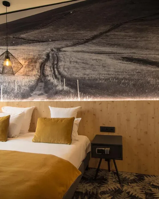 Hôtel spa Ribeauvillé, photo 9