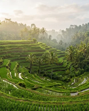 Hôtel spa à Ubud