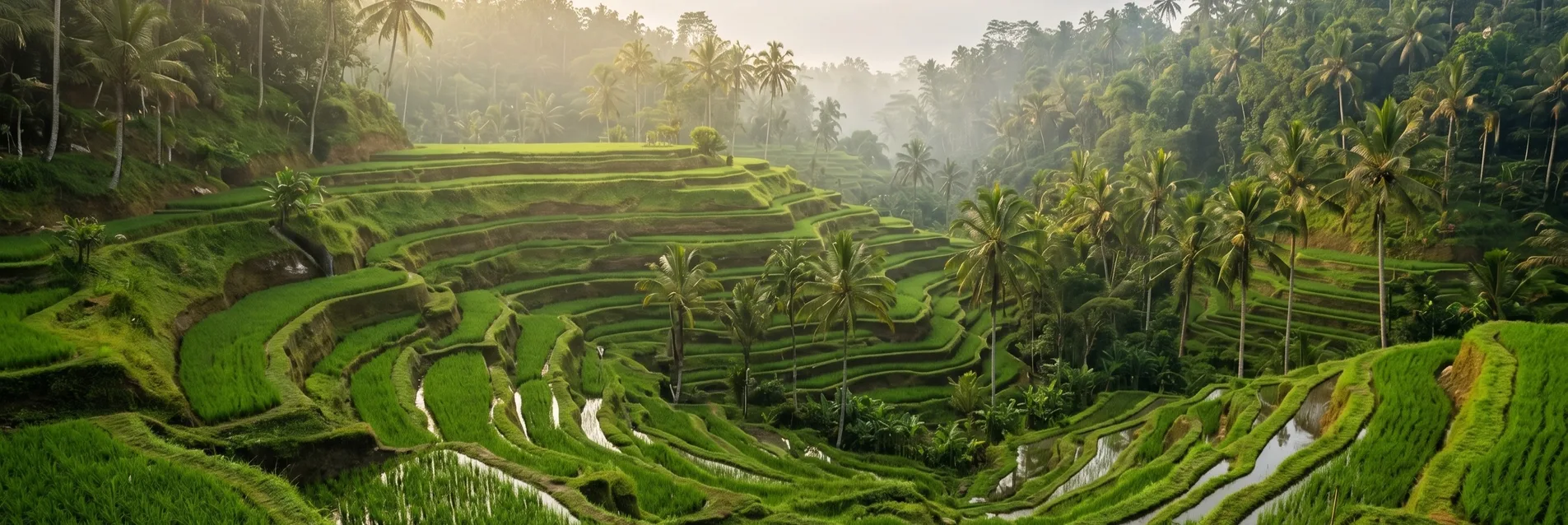 Hôtel spa à Ubud