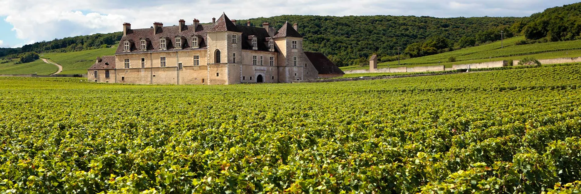 Nos hôtels spa coup de cœur nichés dans les vignobles de Champagne