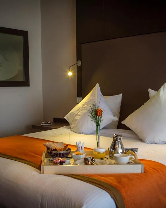 Hôtel Vatel Nimes, photo 12