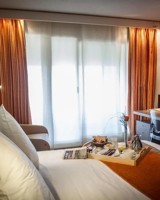 Hôtel Vatel Nimes, photo 17