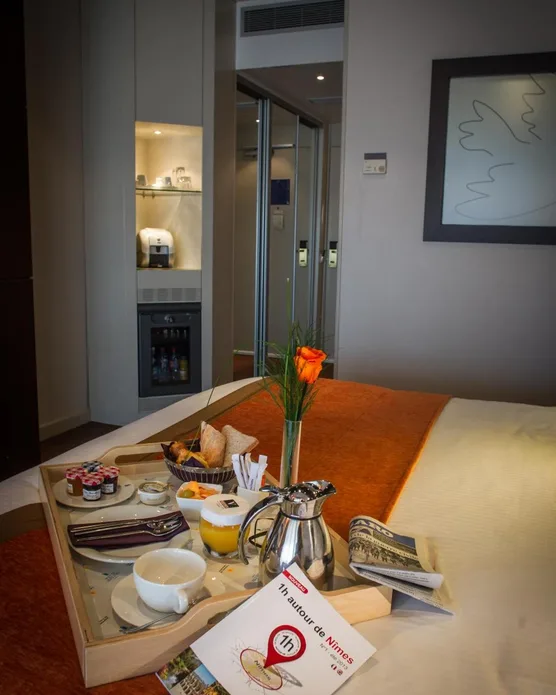 Hôtel Vatel Nimes, photo 26