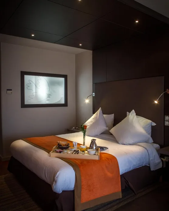 Hôtel Vatel Nimes, photo 29