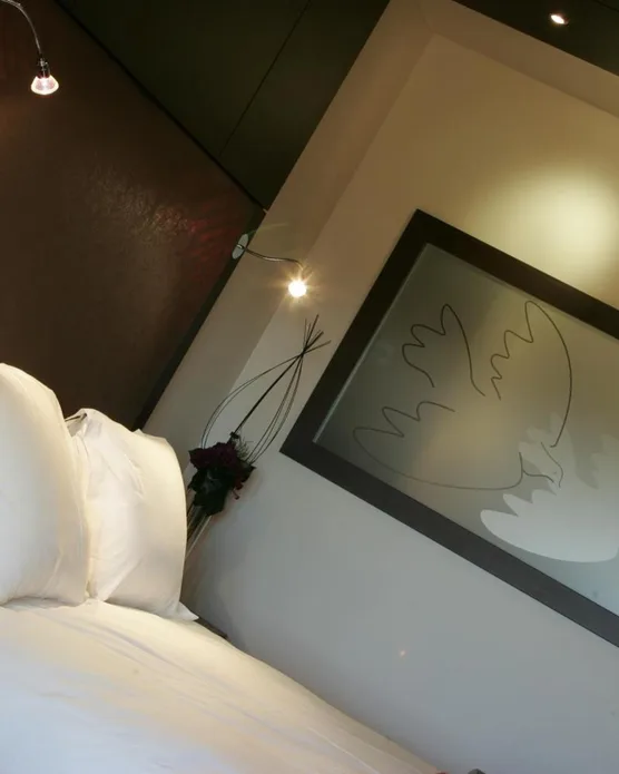 Hôtel Vatel Nimes, photo 39