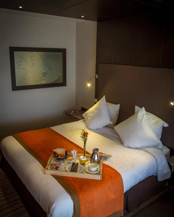 Hôtel Vatel Nimes, photo 43