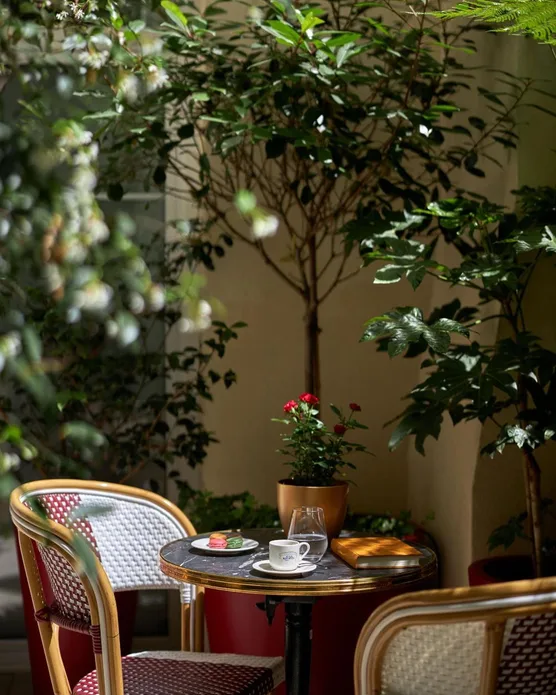 Hôtel Villa Romantic & Spa, photo 17