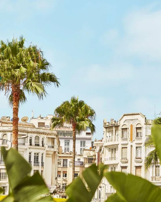 Hyatt Regency Casablanca, photo 9