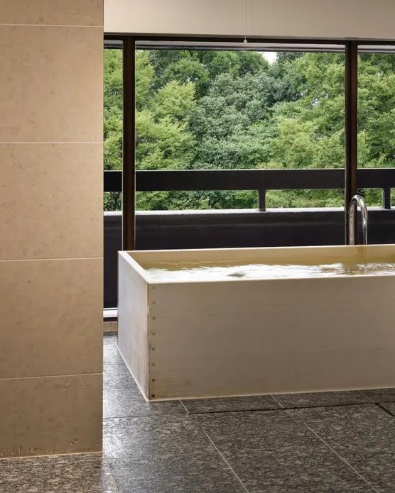 Hyatt Regency Kyoto, photo 5