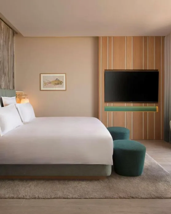 Hyatt Regency Taghazout, photo 10