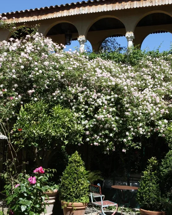 Jardins Secrets Nimes, photo 14