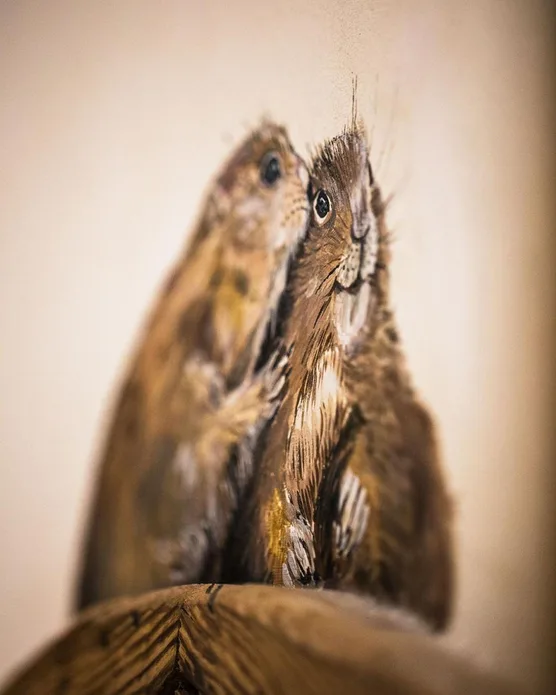 La Bouitte, photo 27