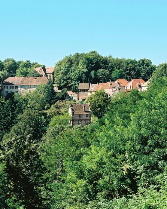 La Clairiere, photo 27