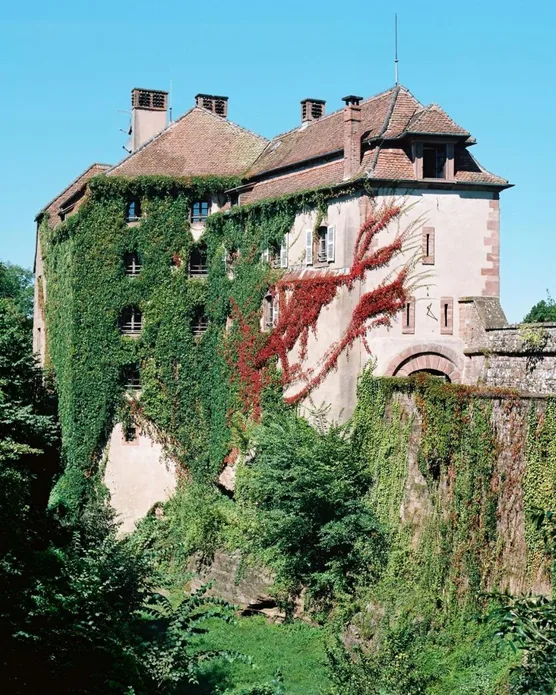 La Clairiere, photo 29
